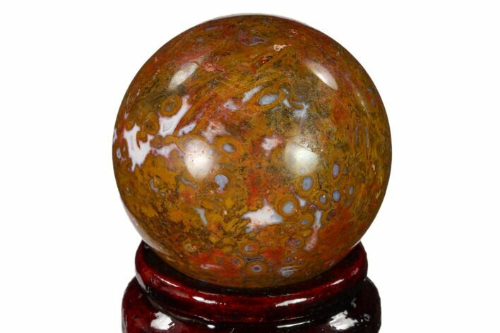 Colorful, Polished Petrified Palm Root Sphere - Indonesia #150147